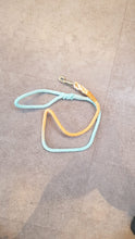 Lade das Bild in den Galerie-Viewer, Leine Sunshine Leash
